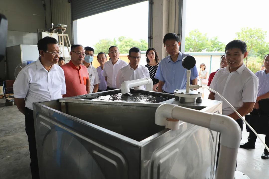 1659952511601.jpg 23.jpg