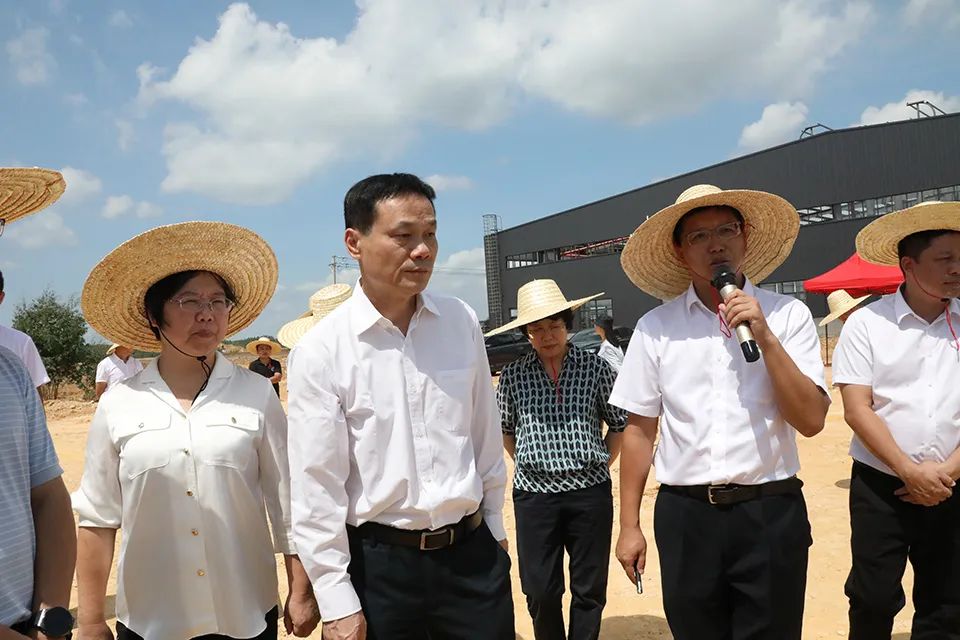 1661937463042.jpg 21.jpg