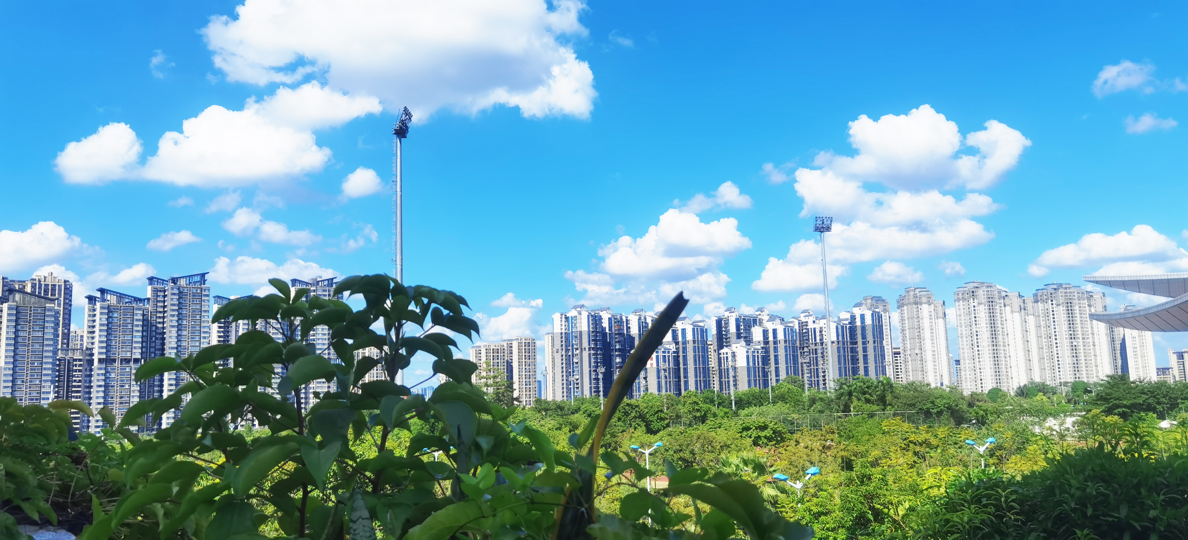 秋高气爽 申海渝摄.jpg