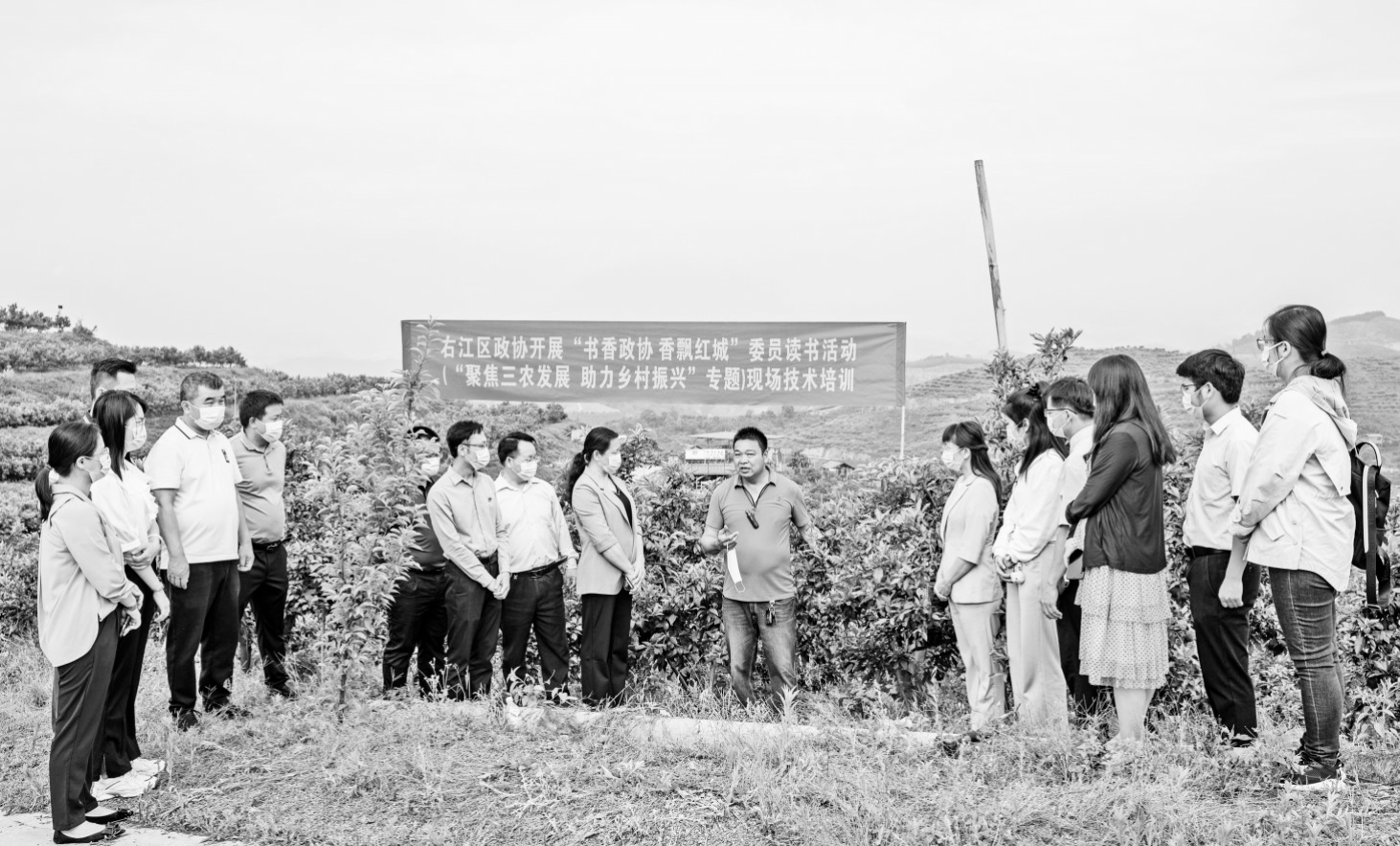 百色右江区政协.png