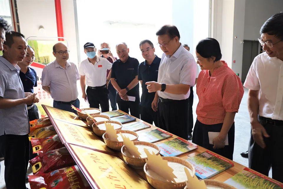 1664439420642.jpg 黄日波 1.jpg