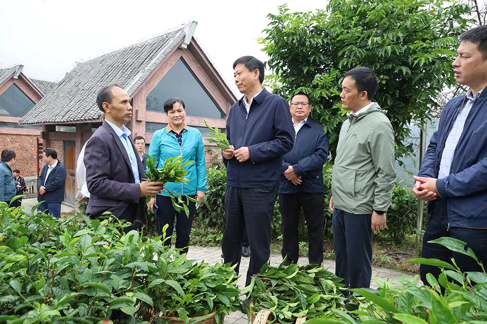 1669605986481.png 1.png