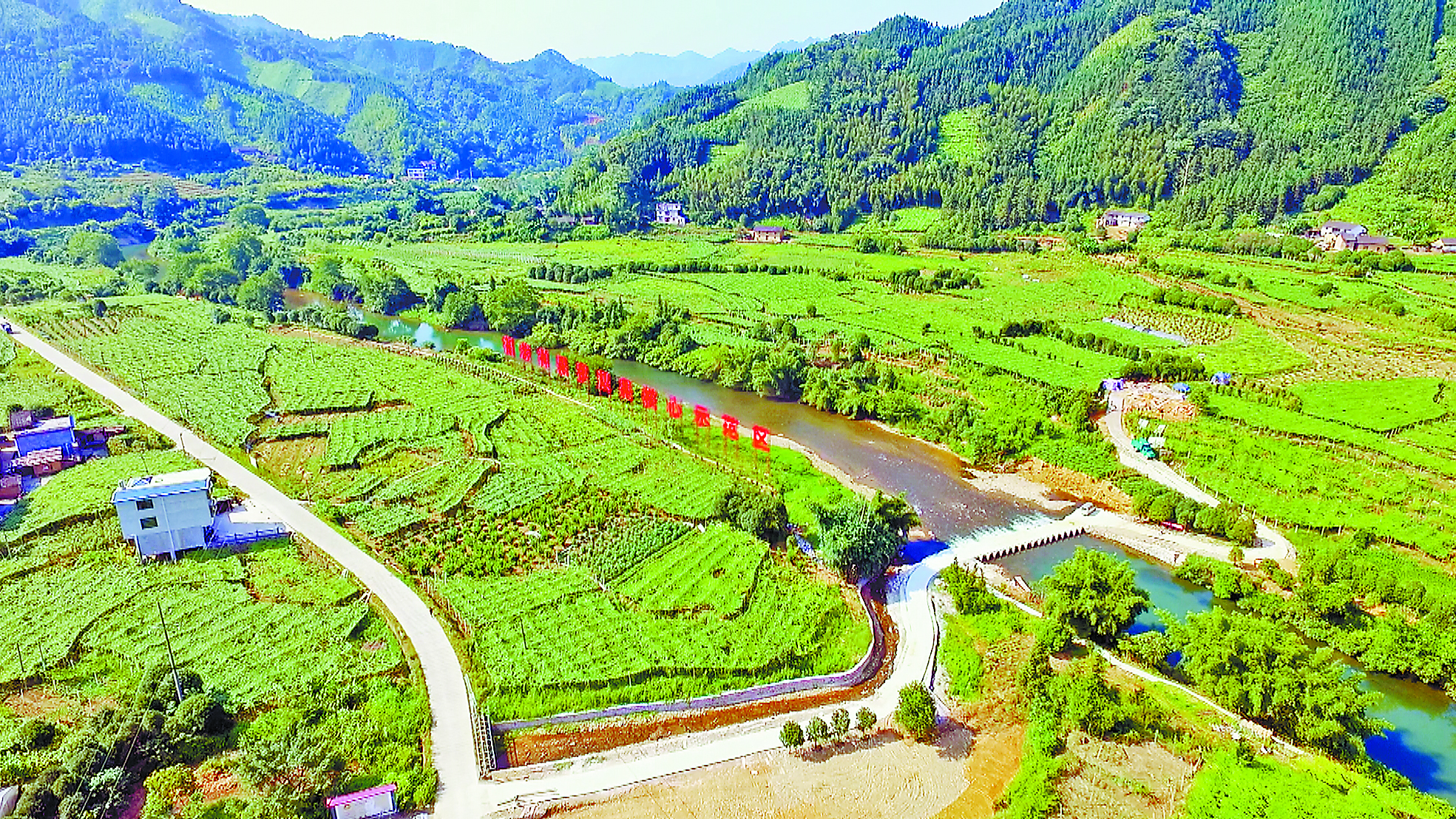 永福县龙江乡福寿神果示范基地，罗汉果核心种植区达400亩.jpg