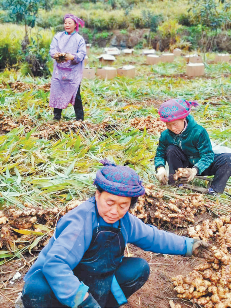 微信图片_20230113225809.png