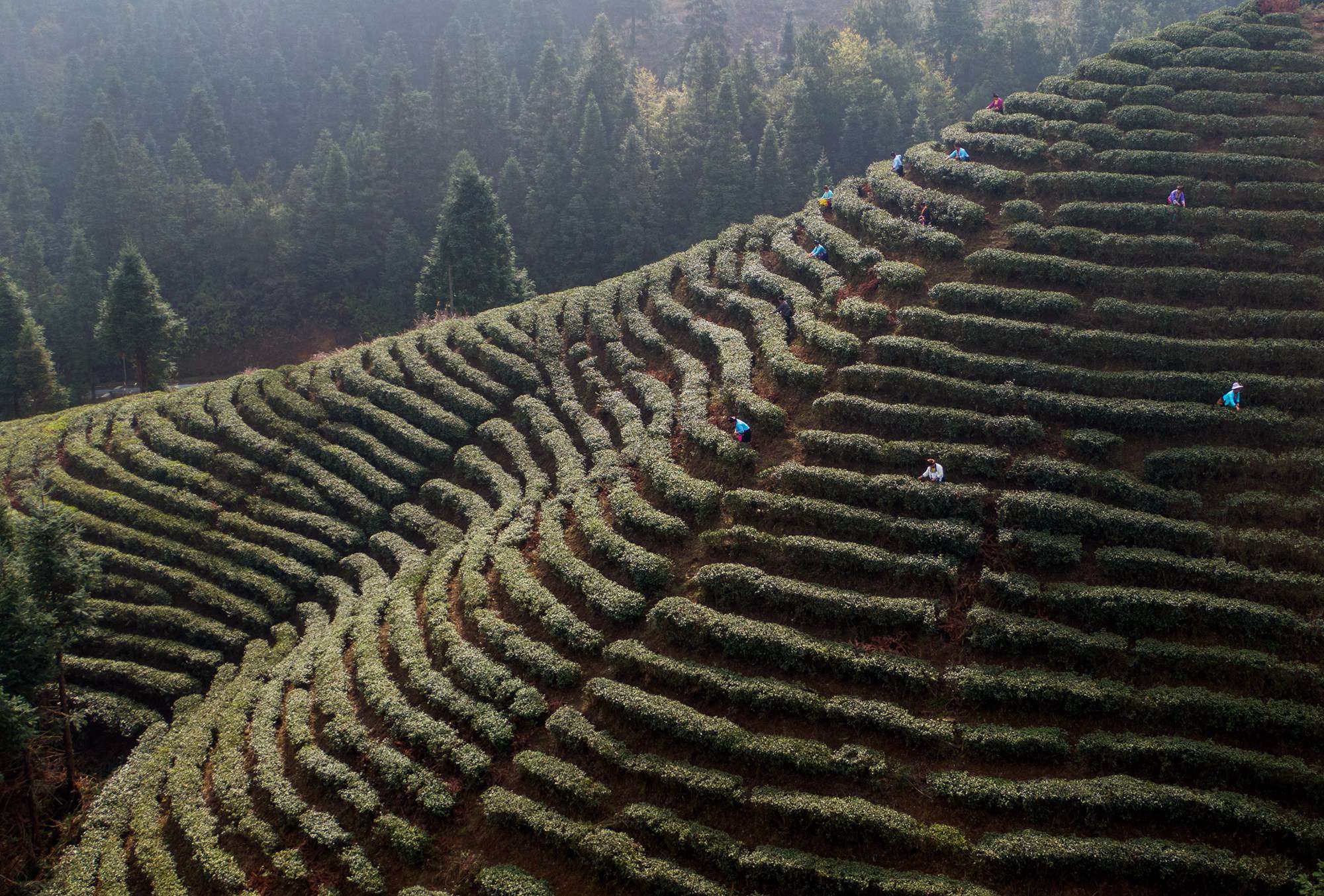 03DJI_0982.jpg