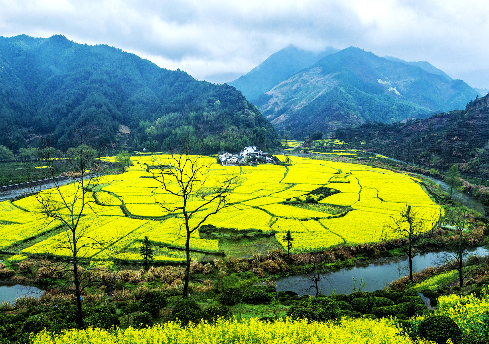 《大山深处有春光》摄影：李昊天.jpg