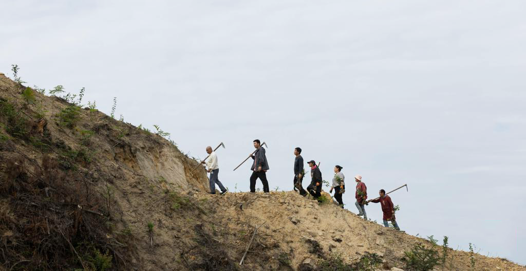 5月14日，李秀雄一家和工人走在四川省荣县东兴镇长兴林场。.png